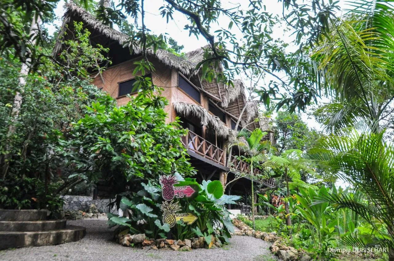 Unique Exotic Eco Hotel Samana